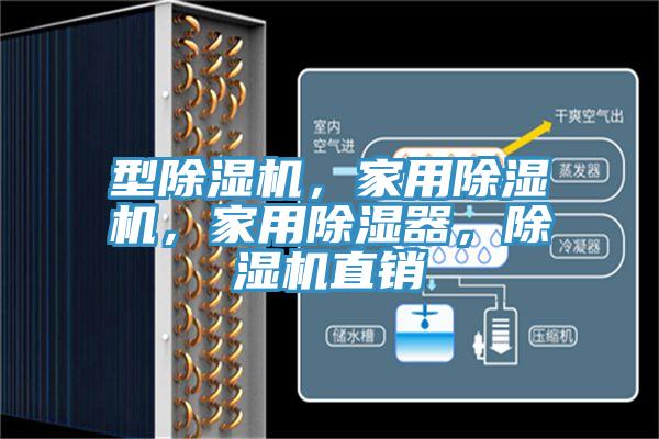 型除濕機(jī)，家用除濕機(jī)，家用除濕器，除濕機(jī)直銷