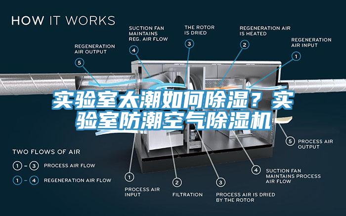 實(shí)驗(yàn)室太潮如何除濕？實(shí)驗(yàn)室防潮空氣除濕機(jī)
