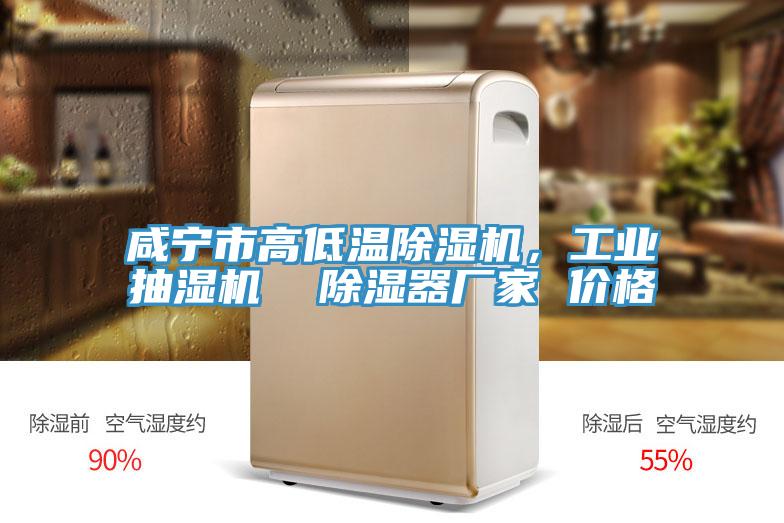 咸寧市高低溫除濕機(jī)，工業(yè)抽濕機(jī)  除濕器廠家 價(jià)格