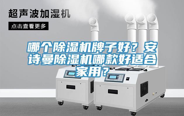 哪個除濕機牌子好？安詩曼除濕機哪款好適合家用？