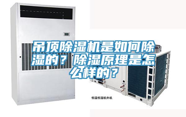 吊頂除濕機是如何除濕的？除濕原理是怎么樣的？