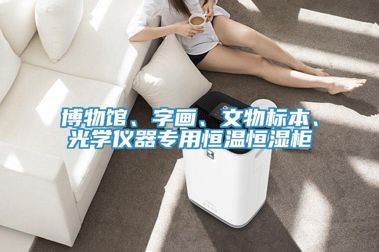 博物館、字畫、文物標(biāo)本、光學(xué)儀器專用恒溫恒濕柜