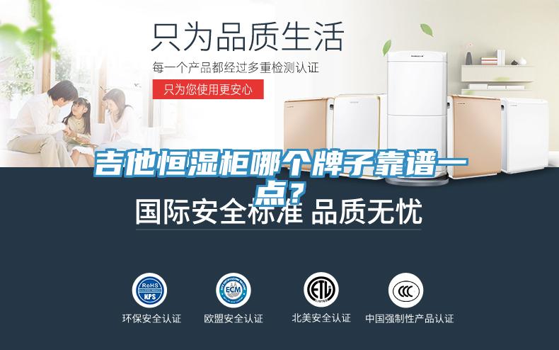吉他恒濕柜哪個(gè)牌子靠譜一點(diǎn)？