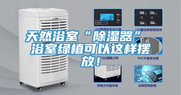 天然浴室“除濕器” 浴室綠植可以這樣擺放！