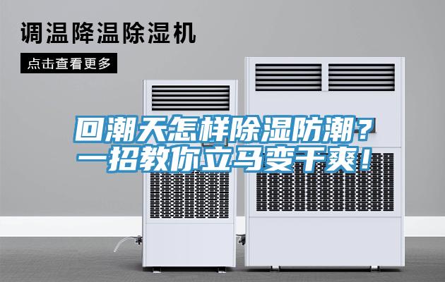 回潮天怎樣除濕防潮？一招教你立馬變干爽！