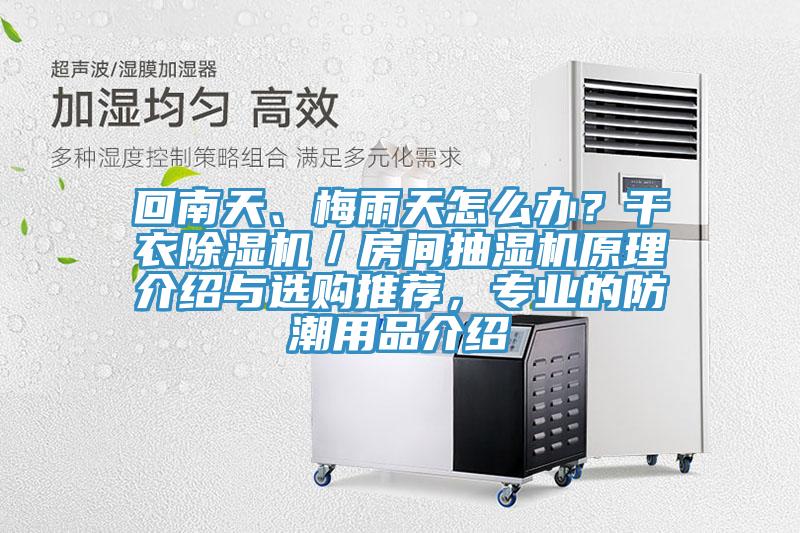 回南天、梅雨天怎么辦？干衣除濕機(jī)／房間抽濕機(jī)原理介紹與選購?fù)扑]，專業(yè)的防潮用品介紹