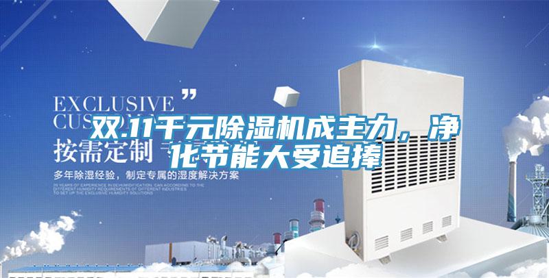 雙.11千元除濕機成主力，凈化節(jié)能大受追捧
