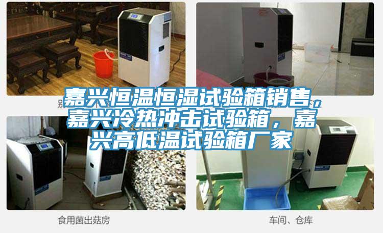 嘉興恒溫恒濕試驗(yàn)箱銷售，嘉興冷熱沖擊試驗(yàn)箱，嘉興高低溫試驗(yàn)箱廠家