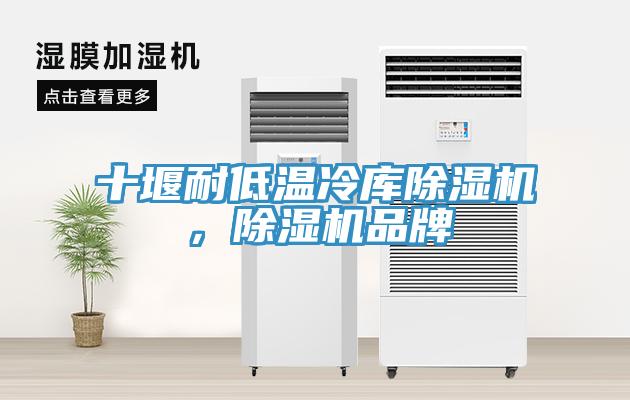 十堰耐低溫冷庫(kù)除濕機(jī)，除濕機(jī)品牌