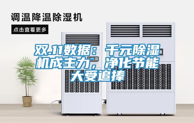 雙.11數(shù)據(jù)：千元除濕機成主力，凈化節(jié)能大受追捧