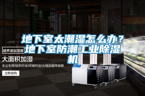 地下室太潮濕怎么辦？地下室防潮工業(yè)除濕機
