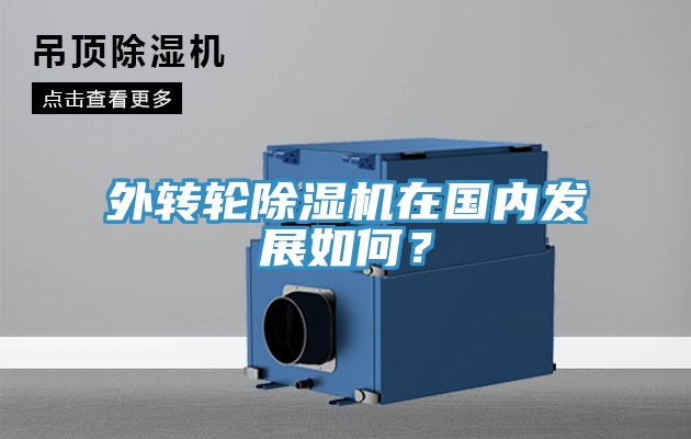 外轉(zhuǎn)輪除濕機在國內(nèi)發(fā)展如何？
