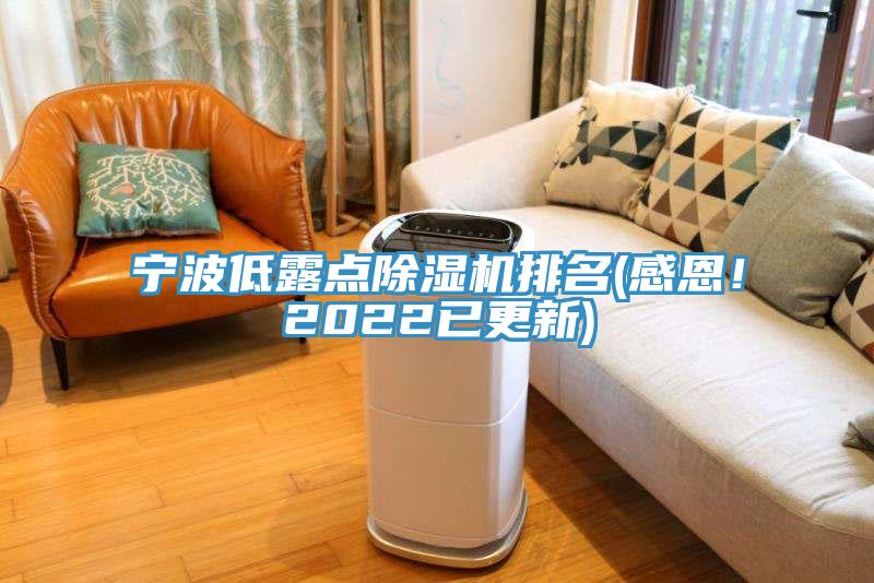 寧波低露點(diǎn)除濕機(jī)排名(感恩！2022已更新)