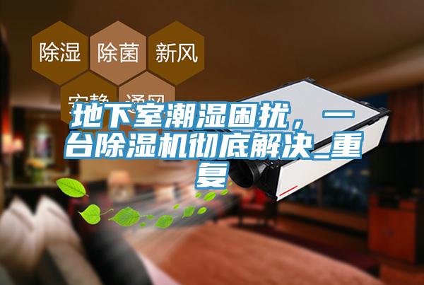 地下室潮濕困擾，一臺除濕機(jī)徹底解決_重復(fù)