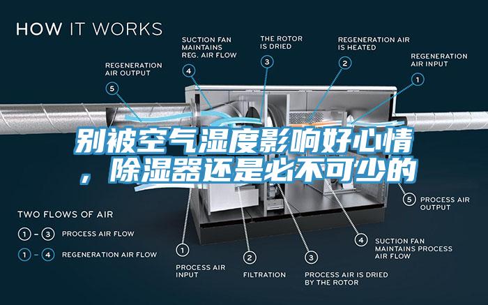 別被空氣濕度影響好心情，除濕器還是必不可少的