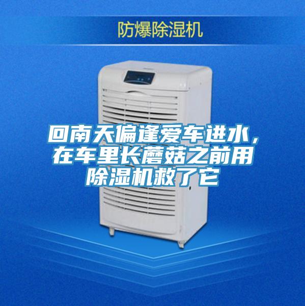 回南天偏逢愛車進(jìn)水，在車?yán)镩L蘑菇之前用除濕機(jī)救了它