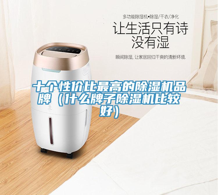 十個(gè)性?xún)r(jià)比最高的除濕機(jī)品牌（什么牌子除濕機(jī)比較好）