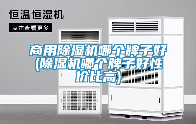 商用除濕機(jī)哪個牌子好(除濕機(jī)哪個牌子好性價比高)