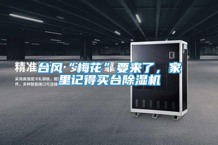 臺(tái)風(fēng)“梅花”要來了，家里記得買臺(tái)除濕機(jī)