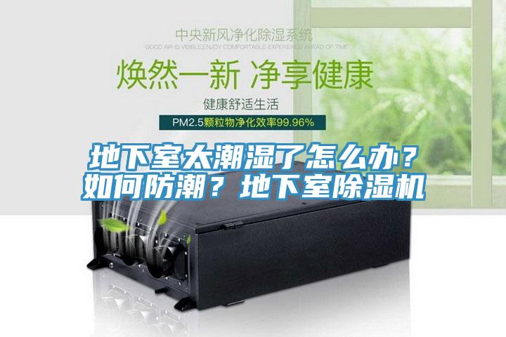 地下室太潮濕了怎么辦？如何防潮？地下室除濕機(jī)