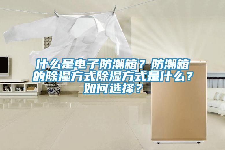 什么是電子防潮箱？防潮箱的除濕方式除濕方式是什么？如何選擇？