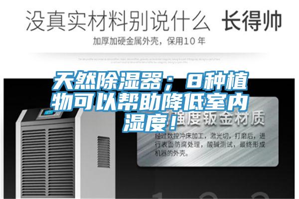 天然除濕器；8種植物可以幫助降低室內(nèi)濕度！