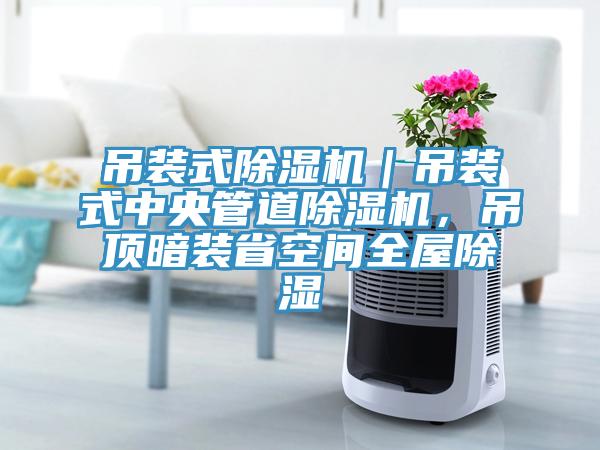 吊裝式除濕機(jī)｜吊裝式中央管道除濕機(jī)，吊頂暗裝省空間全屋除濕