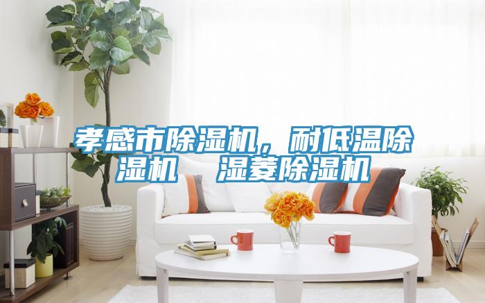 孝感市除濕機(jī)，耐低溫除濕機(jī)  濕菱除濕機(jī)