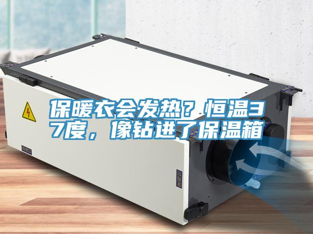 保暖衣會(huì)發(fā)熱？恒溫37度，像鉆進(jìn)了保溫箱