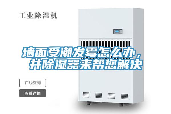 墻面受潮發(fā)霉怎么辦，東井除濕器來幫您解決