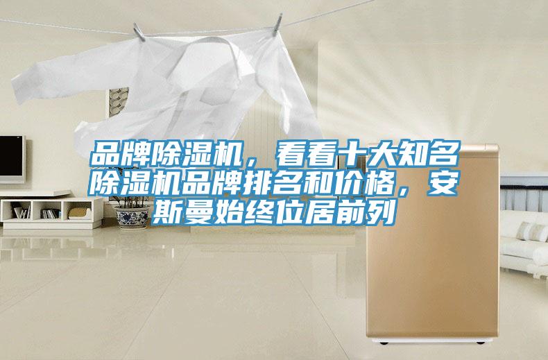 品牌除濕機(jī)，看看十大知名除濕機(jī)品牌排名和價格，安斯曼始終位居前列