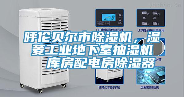 呼倫貝爾市除濕機，濕菱工業(yè)地下室抽濕機  庫房配電房除濕器