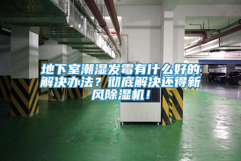 地下室潮濕發(fā)霉有什么好的解決辦法？徹底解決還得新風(fēng)除濕機(jī)！
