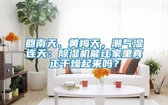 回南天、黃梅天，潮氣濕連天：除濕機(jī)能讓家里真正干燥起來嗎？