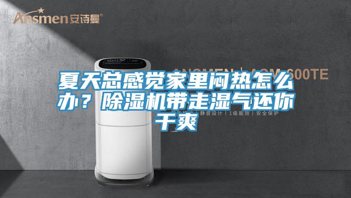 夏天總感覺家里悶熱怎么辦？除濕機帶走濕氣還你干爽