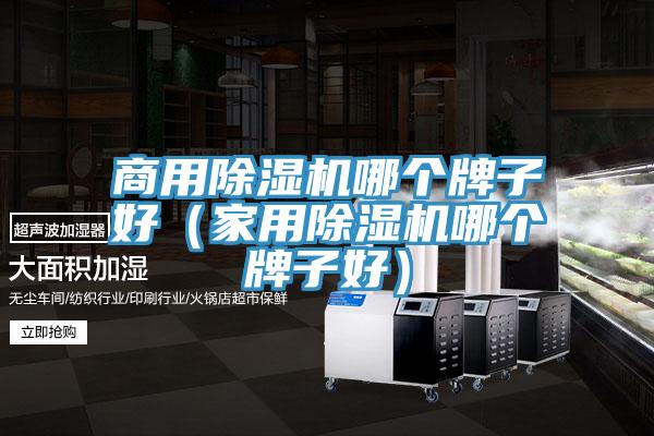 商用除濕機(jī)哪個牌子好（家用除濕機(jī)哪個牌子好）