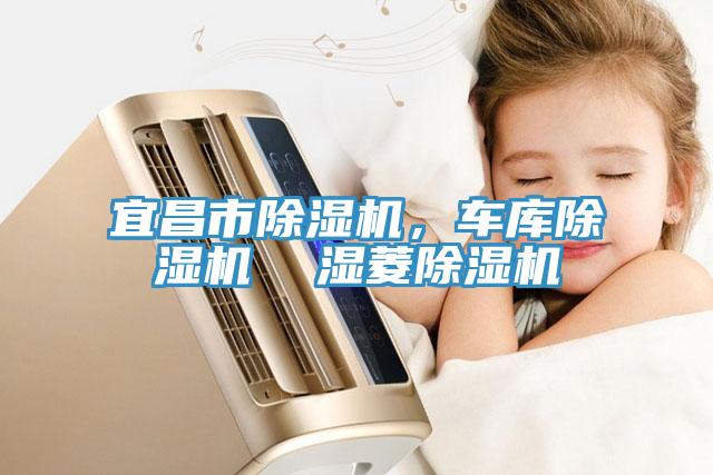 宜昌市除濕機(jī)，車庫除濕機(jī)  濕菱除濕機(jī)