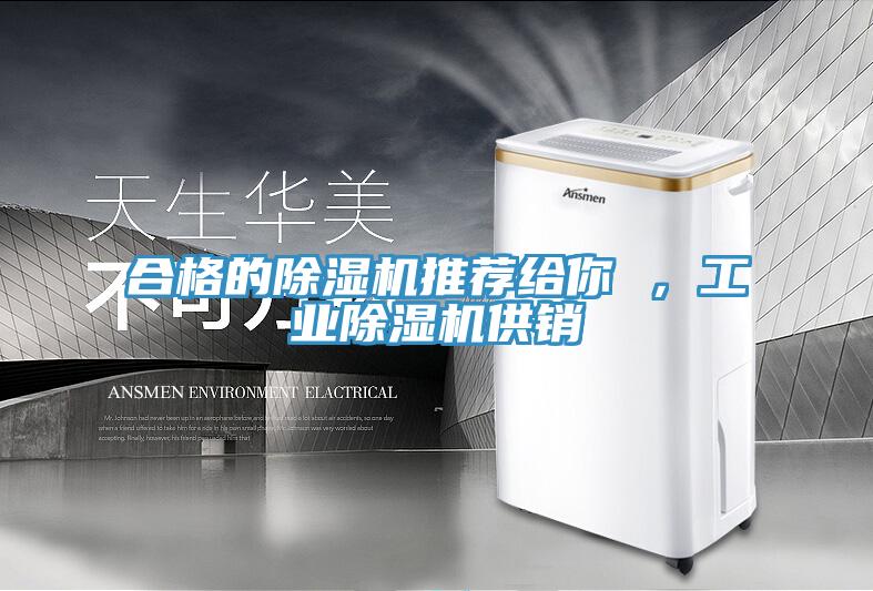 合格的除濕機(jī)推薦給你 ，工業(yè)除濕機(jī)供銷