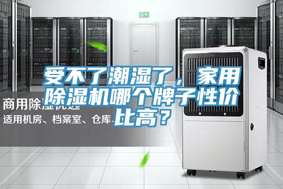 受不了潮濕了，家用除濕機哪個牌子性價比高？