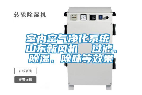 室內(nèi)空氣凈化系統(tǒng) 山東新風(fēng)機(jī)  過濾、除濕、除味等效果