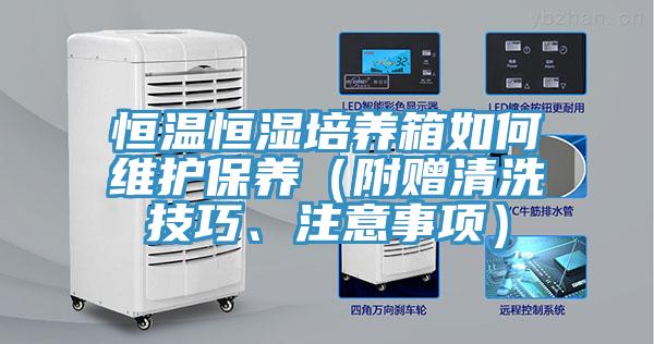 恒溫恒濕培養(yǎng)箱如何維護(hù)保養(yǎng)（附贈(zèng)清洗技巧、注意事項(xiàng)）