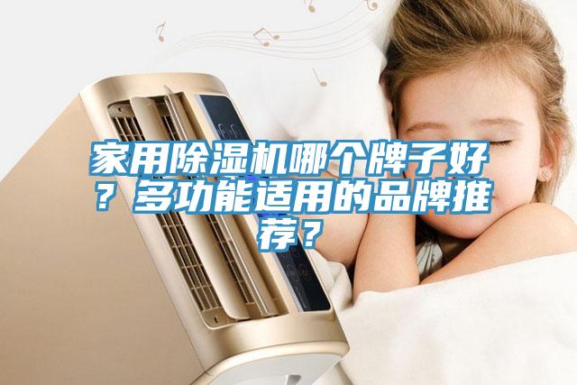 家用除濕機(jī)哪個(gè)牌子好？多功能適用的品牌推薦？