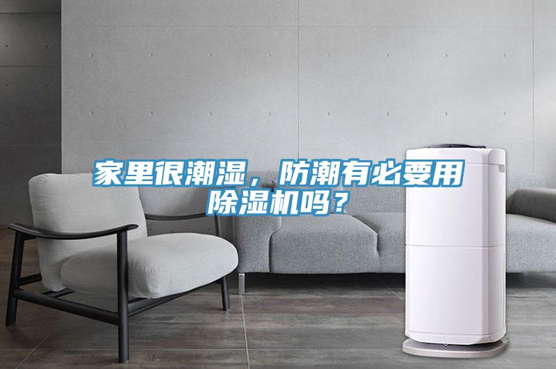家里很潮濕，防潮有必要用除濕機(jī)嗎？