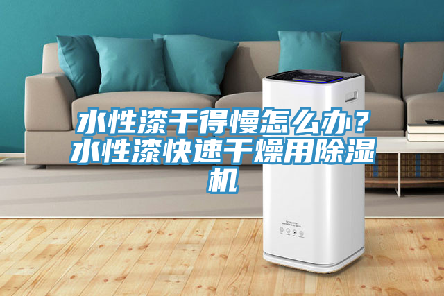 水性漆干得慢怎么辦？水性漆快速干燥用除濕機