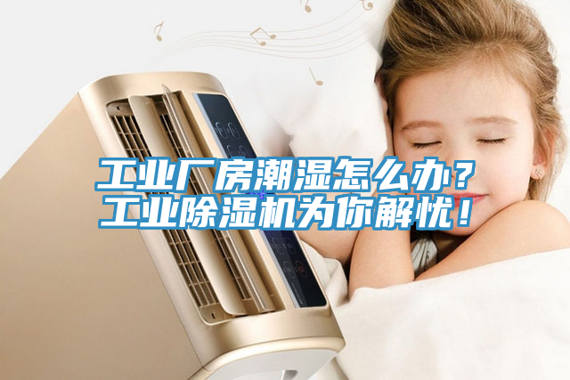 工業(yè)廠房潮濕怎么辦？工業(yè)除濕機為你解憂！