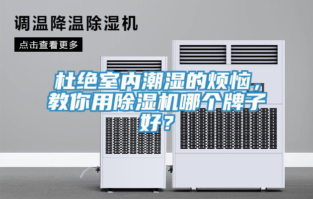 杜絕室內(nèi)潮濕的煩惱，教你用除濕機哪個牌子好？