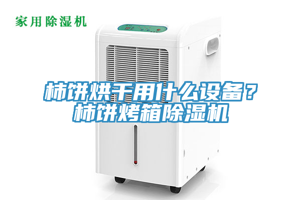 柿餅烘干用什么設(shè)備？柿餅烤箱除濕機(jī)
