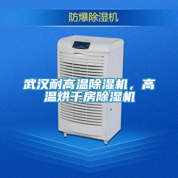 武漢耐高溫除濕機，高溫烘干房除濕機