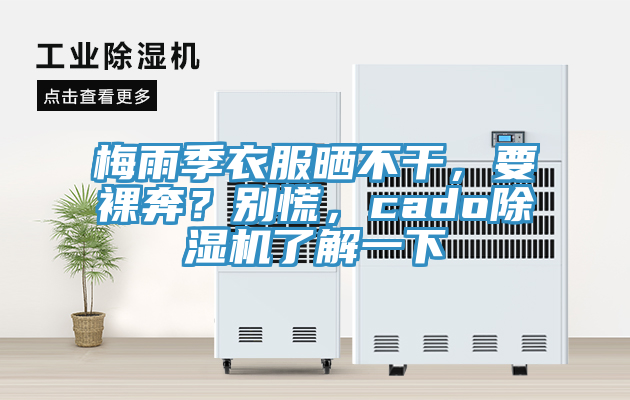 梅雨季衣服曬不干，要裸奔？別慌，cado除濕機(jī)了解一下