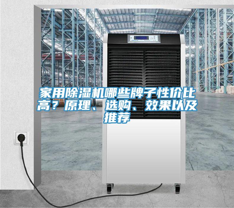 家用除濕機(jī)哪些牌子性價(jià)比高？原理、選購(gòu)、效果以及推薦
